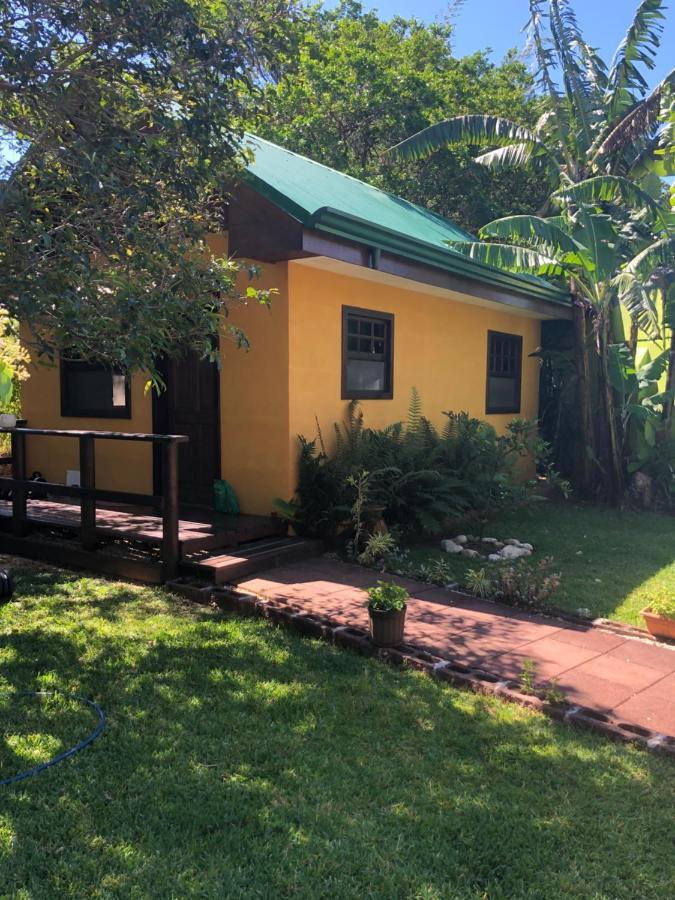 Bed and Breakfast Airport Rio Segundo Studio Alajuela Zewnętrze zdjęcie